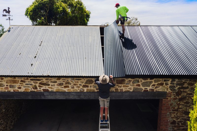 Two roofers installing steel roofing on a rural shed